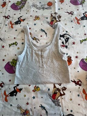 aerie Gray Ribbed Crop Tank Top
